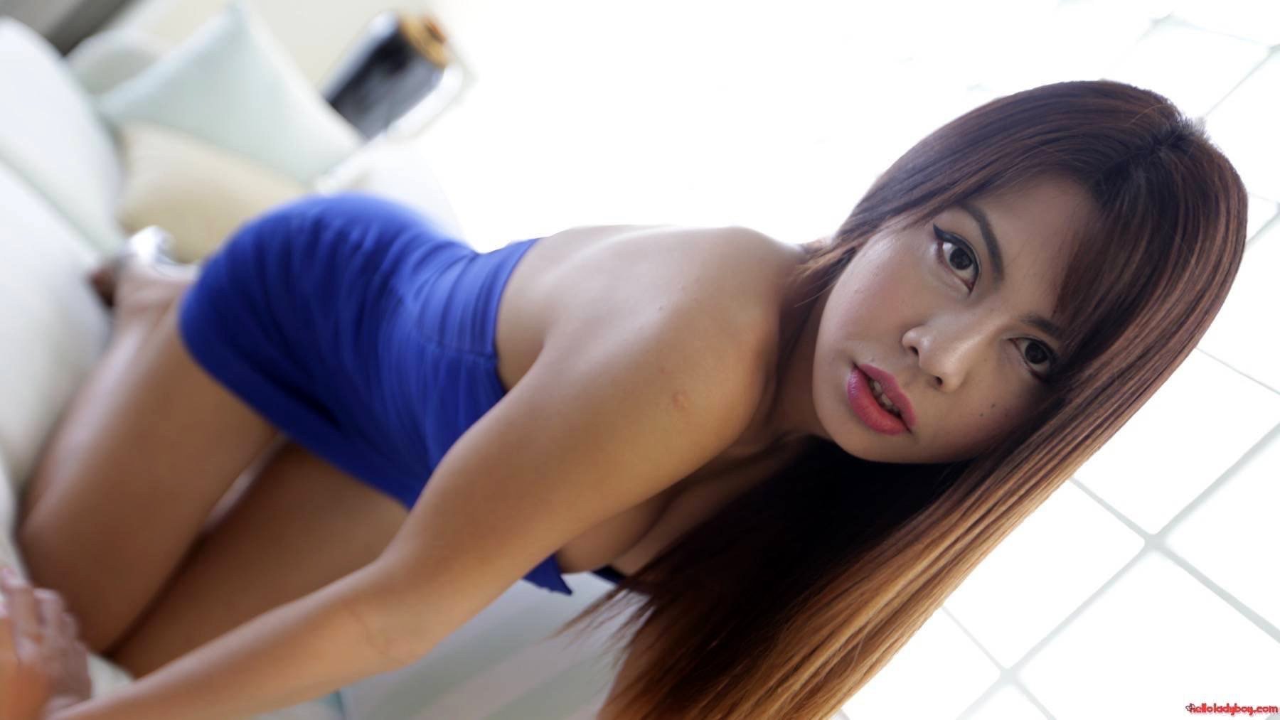 20 Year Old Busty Asian T-Girl Strips To Her Massive Breasts And Tool